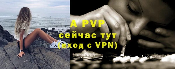 СК Нефтегорск