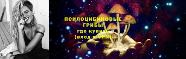 наркотики Новодвинск