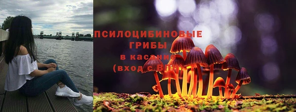 наркотики Новодвинск