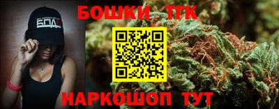 шишки Заводоуковск