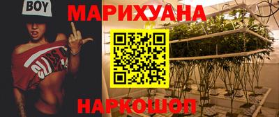 шишки Заводоуковск