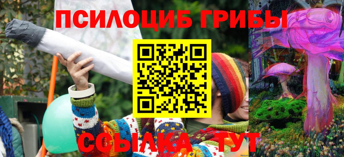 Псилоцибиновые грибы Cubensis  наркотики  Конаково 