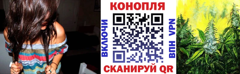 как найти наркотики  Конаково  Бошки Шишки тримм 