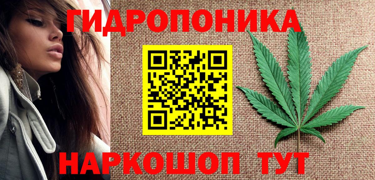 Конопля конопля Конаково